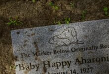 smart platform efficiency boost