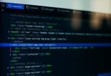 web development project overview