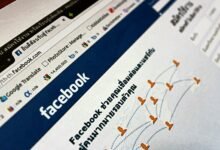 web platform support service